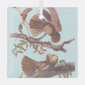 Chuck Will's Widow Nightjar mit Korallenschlange Ornament Aus Glas (Vorderseite)