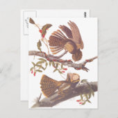 Chuck Will's Widow Nightjar Postcard Postkarte (Vorne/Hinten)