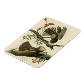 Chuck-will's Witw - Audubons Vögel in Amerika Magnet (Linke Seite)