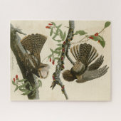 Chuck-will's Witw - Audubons Vögel in Amerika Puzzle (Horizontal)