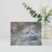 Chuckwalla Kopfstütze Postkarte (Stehend Vorderseite)