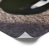 Chuda & Sami Poster (Ecke)