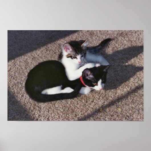 Chuda & Sami Poster (Vorne)