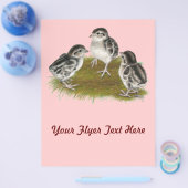 Chukar Partridge Chicks Flyer (Einzeln)