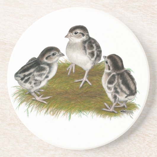 Chukar Partridge Chicks Getränkeuntersetzer (Vorne)