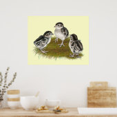 Chukar Partridge Chicks Poster (Küche)