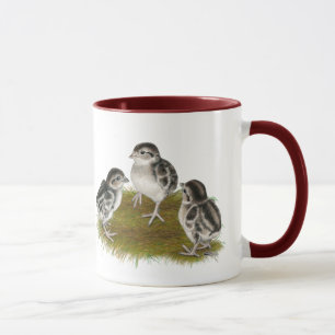 Chukar Partridge Chicks Tasse