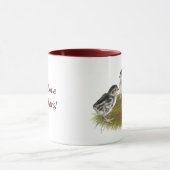 Chukar Partridge Chicks Tasse (Zentrum)