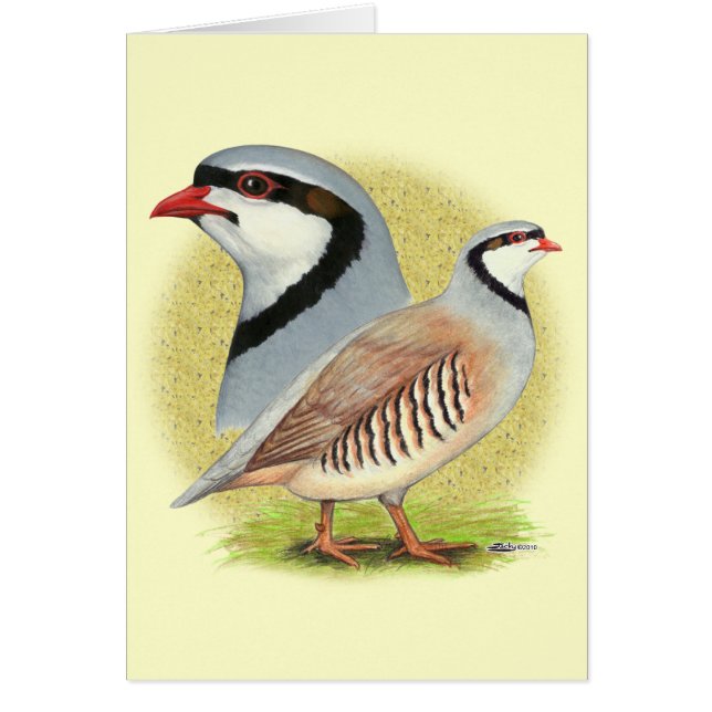 Chukar Partridge Combo (Vorne)