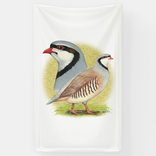 Chukar Partridge Combo Banner (Vertikal)