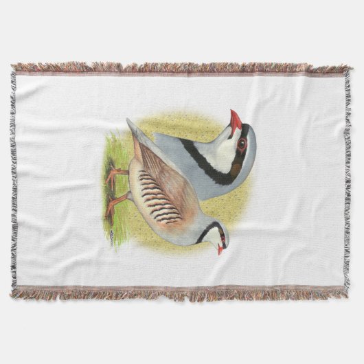 Chukar Partridge Combo Decke (Vorderseite)