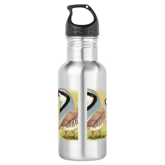 Chukar Partridge Combo Edelstahlflasche (Rückseite)
