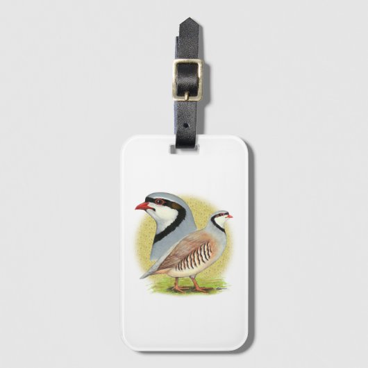 Chukar Partridge Combo Gepäckanhänger (Vorderseite Vertikal)