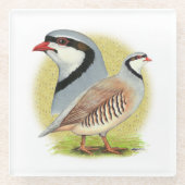 Chukar Partridge Combo Glasuntersetzer (Vorderseite)