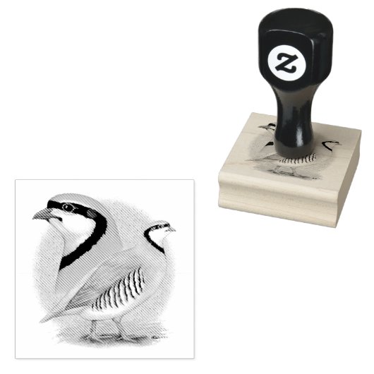 Chukar Partridge Combo Gummistempel (Stempel)