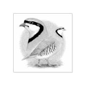 Chukar Partridge Combo Gummistempel (Prägung)