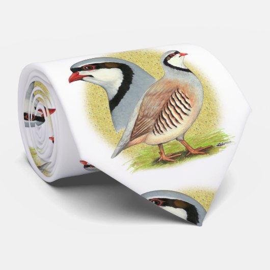Chukar Partridge Combo Krawatte (Gerollt)