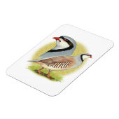 Chukar Partridge Combo Magnet (Linke Seite)