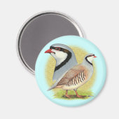 Chukar Partridge Combo Magnet (Vorderseite/Rückseite)