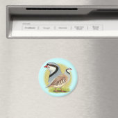 Chukar Partridge Combo Magnet (In Situ (Geschirrspüler))