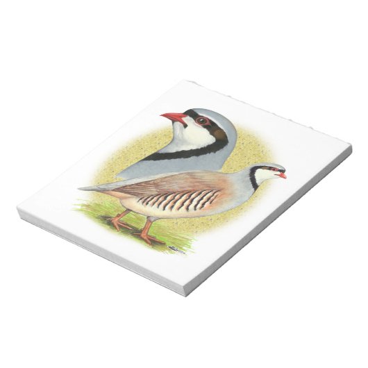 Chukar Partridge Combo Notizblock (Rotiert)