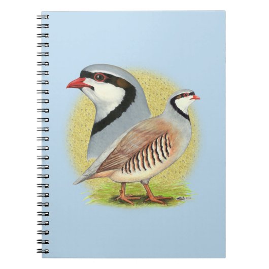 Chukar Partridge Combo Notizblock (Vorderseite)