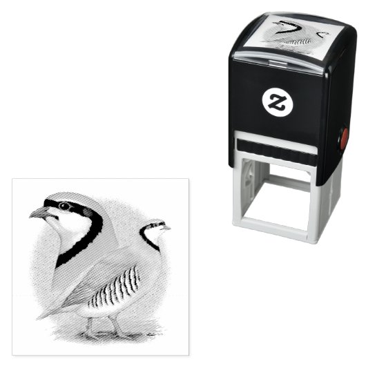 Chukar Partridge Combo Permastempel (Beispiel)