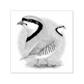 Chukar Partridge Combo Permastempel (Design)