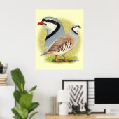 Chukar Partridge Combo Poster (Heimbüro)