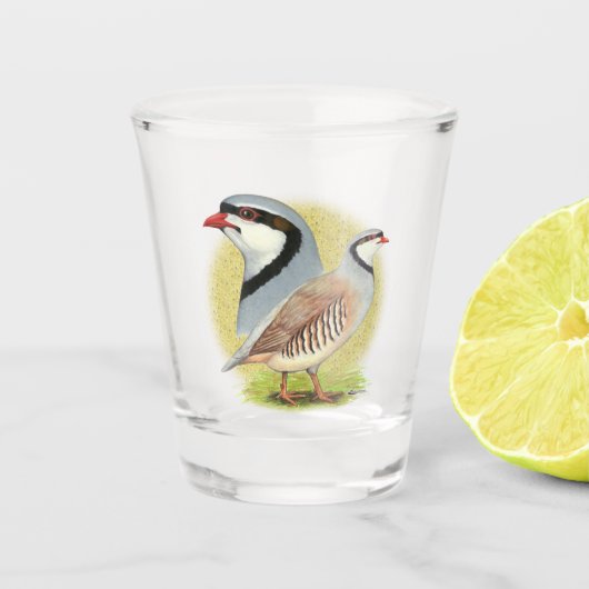 Chukar Partridge Combo Schnapsglas (Vorderseite)