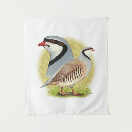 Chukar Partridge Combo Wandteppich (Vorderseite)