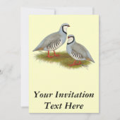 Chukar Partridge Einladung (Vorderseite)