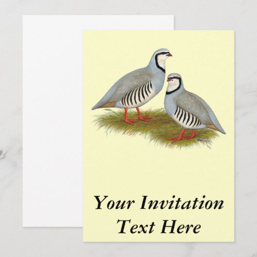 Chukar Partridge Einladung (Vorne/Hinten)