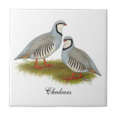 Chukar Partridge Fliese (Vorderseite)