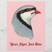 Chukar: Partridge Head Flyer (Vorne)