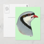 Chukar:  Partridge Head Postkarte (Vorne/Hinten)