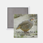 Chukar Partridge Jagdsport Magnet (Vorderseite/Rückseite)
