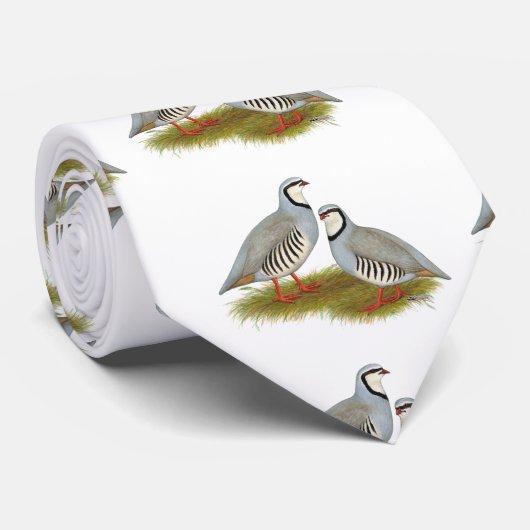 Chukar Partridge Krawatte (Gerollt)
