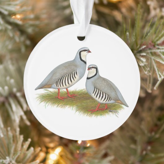 Chukar Partridge Ornament (Baum)