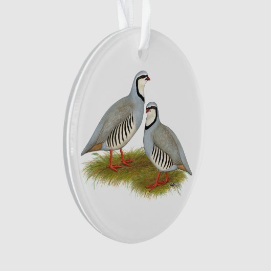 Chukar Partridge Ornament (Vorderseite)