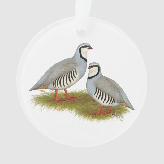 Chukar Partridge Ornament (Vorderseite)