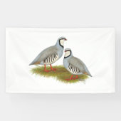 Chukar Partridge Pair Banner (Horizontal)