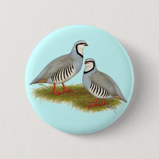 Chukar Partridge Pair Button (Vorderseite)