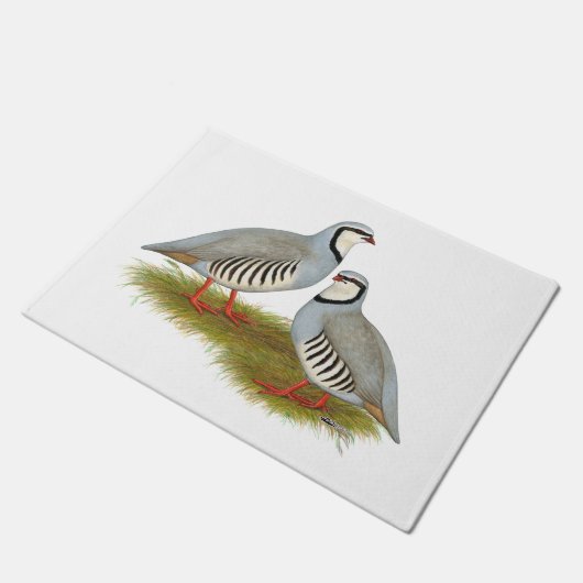 Chukar Partridge Pair Fußmatte (Schrägansicht)