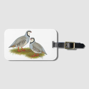 Chukar Partridge Pair Gepäckanhänger