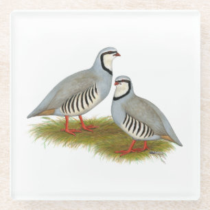Chukar Partridge Pair Glasuntersetzer