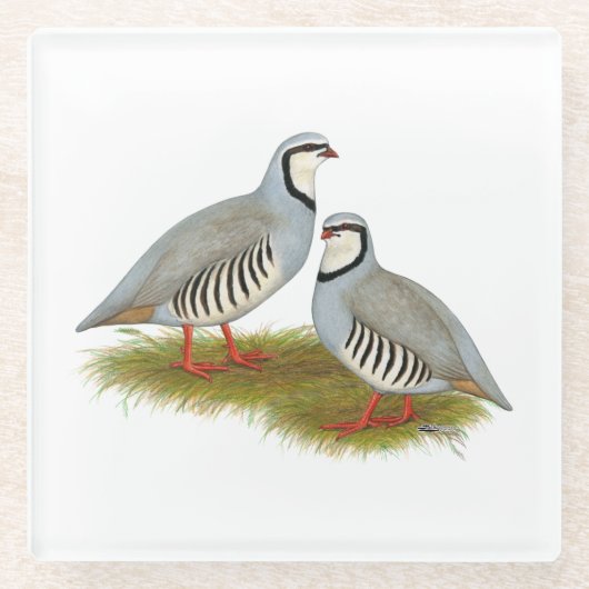 Chukar Partridge Pair Glasuntersetzer (Vorderseite)