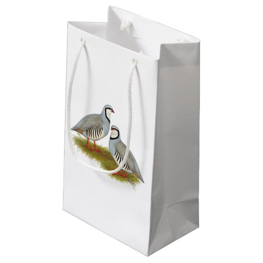 Chukar Partridge Pair Kleine Geschenktüte (Rückseite Schrägansicht)