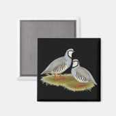 Chukar Partridge Pair Magnet (Vorderseite/Rückseite)