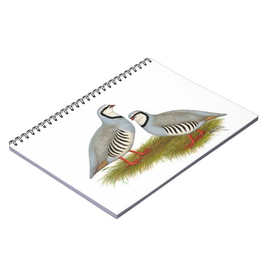 Chukar Partridge Pair Notizblock (Linke Seite)